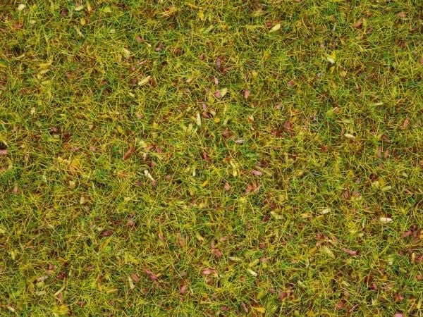 NOCH Scatter Grass “Flower Meadow”, Grön