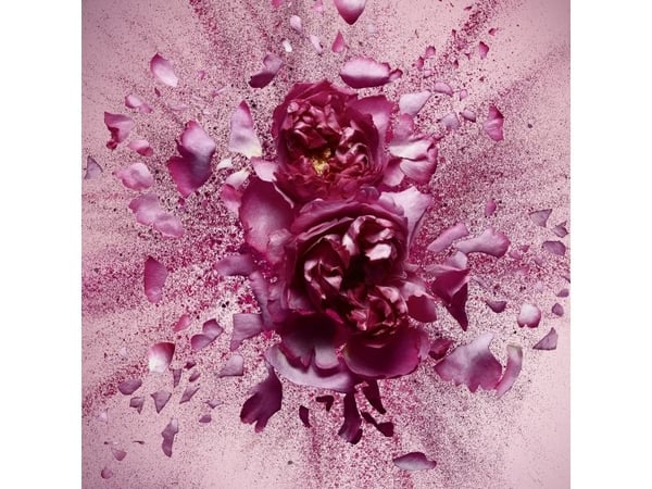 Viktor &amp; Rolf Flowerbomb Nectar EDP W 50 ml