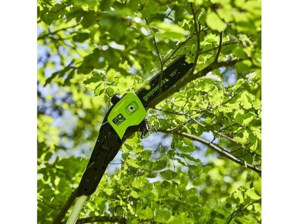 Greenworks GD60PS25, 10,5 m/s, Grønn, Sølv, Batteri, 25 cm, 4,3 kg, 2,4 m