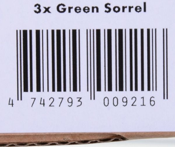 Click &amp; Grow Seeds for Smart Pot - Mixed Lettuce Seeds (PPMSAX9) 9kpl.