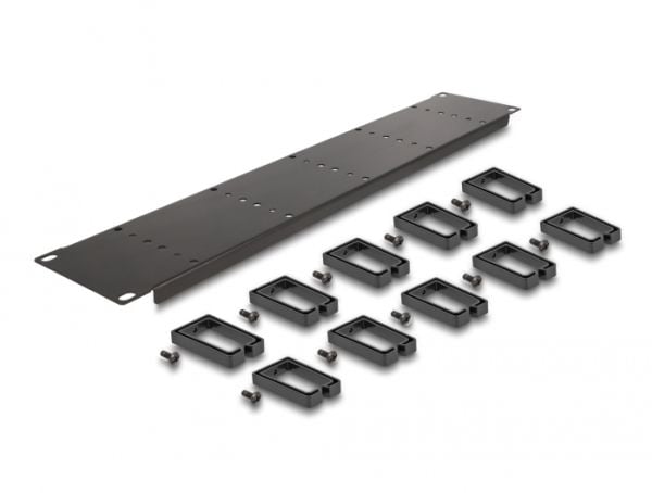 Delock - Rack cable management routing panel - with 10 plastic hooks - svart - 2U - 19"