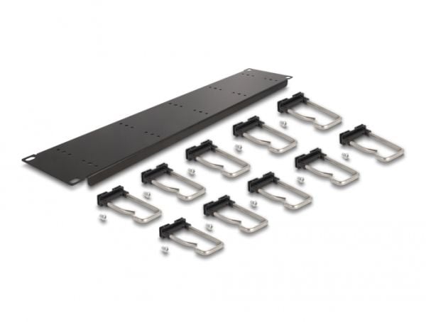 Delock - Rack cable management routing panel - with 10 metal hooks - svart - 2U - 19"