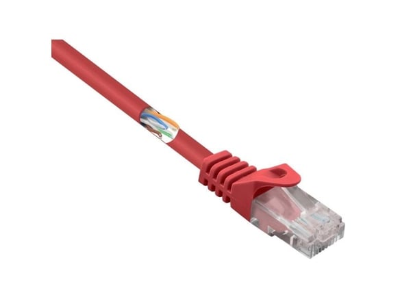 Renkforce RF-5043840, 1 m, Cat5e, U/UTP (UTP), RJ-45, RJ-45