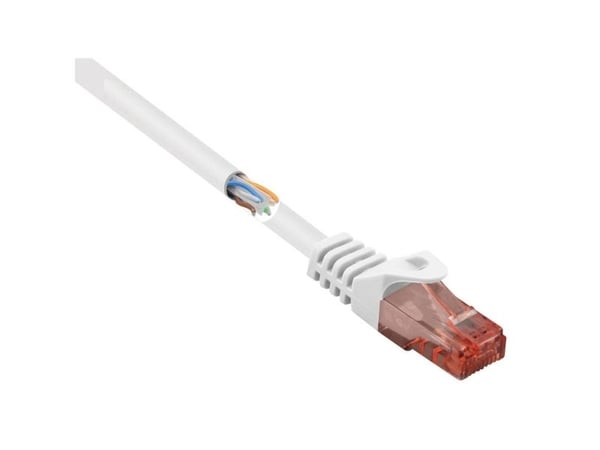 Renkforce RF-5044026, 10 m, Cat6, U/UTP (UTP), RJ-45, RJ-45, Hvit