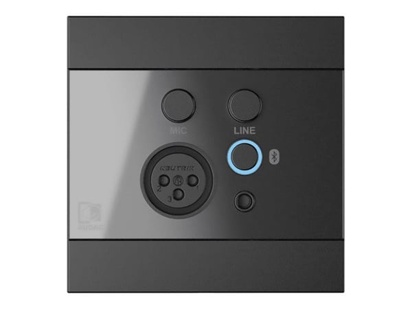 Audac WP225 - Lydforlengerledning - Bluetooth