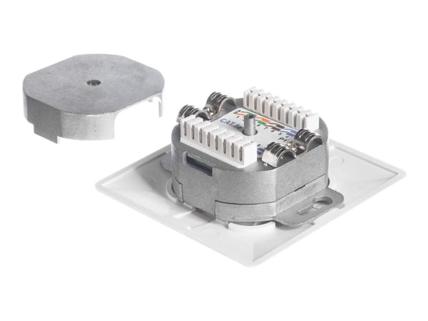 Netrack - Upotettava pistorasia - seinäasennettava - CAT 5e - STP - RJ-45 X 2