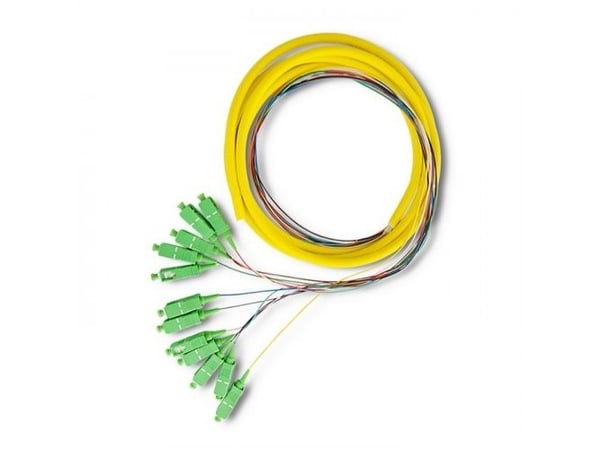 Qoltec 54362, 2 m, G.657.A2, 12x SC