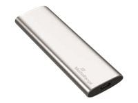 MediaRange MR1101 - SSD - 240 GB - extern (portabel) - M.2 - USB 3.2 Gen 2 (USB-C kontakt) - silver