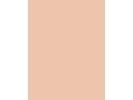 Dior (Christian Dior) Forever Cushion Powder 010 Fair 10 g