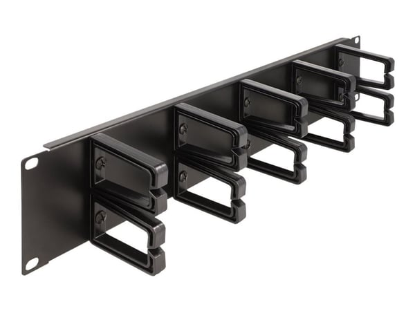 Delock - Rack cable management routing panel - with 10 plastic hooks - svart - 2U - 19"