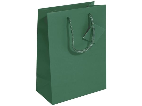 Sigel GT501, Gavepapirbag, Grønn, Monokromatisk, Papir, Matt, 157 g/m²
