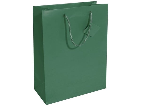 Sigel GT500, Gavepapirbag, Grønn, Monokromatisk, Papir, Matt, 157 g/m²