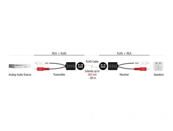 Delock - Audioadapter - RJ-45 hunn til RCA x 2 hann - svart (en pakke 2)