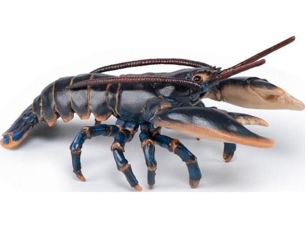 Papo Lobster, Flerfarget, 1 stykker