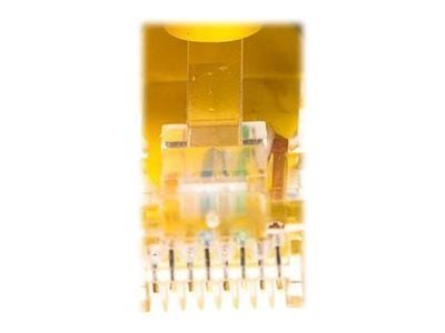 Netrack - Koblingskabel - RJ-45 (hann) til RJ-45 (hann) - UTP - CAT 5e - formstøpt, uten hindringer - gul