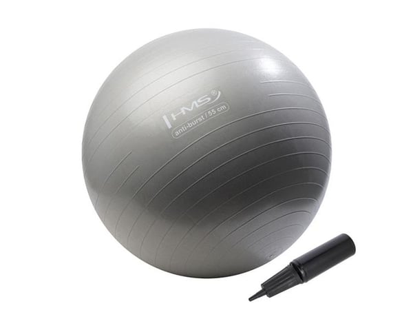 HMS Treningsball YB02 Anti-Burst 55 cm grafitt (17-42-116)