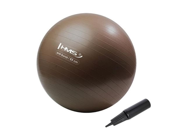HMS Anti Burst treningsball 65 cm grizzly (YB02)