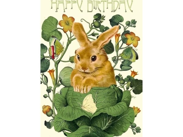 B6 invitasjon med konvolutt Birthday Rabbit in cabbage patch