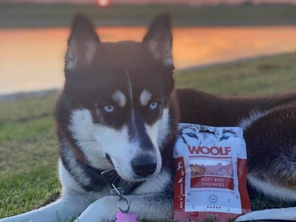 WOOLF Woolf Hundegodbit Soft Beef Chunkies, 100 g