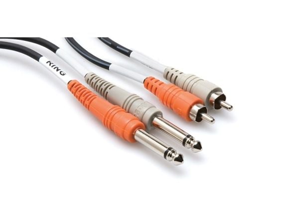 Hosa Technology 2 x RCA/2 x TS, 2 x RCA, Hankjønn, 2 x 6.35mm TS, Hankjønn, 4 m, Sort