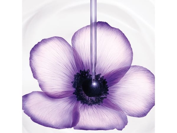 Lancôme Rénergie Multi-Lift Crème Riche 50ml, Unisex, Rasva (aine), Kuiva iho, Herkkä iho, 30+ vuosi/vuosia, Päivä & Yö, Ikääntymistä vastaan, Rypp...