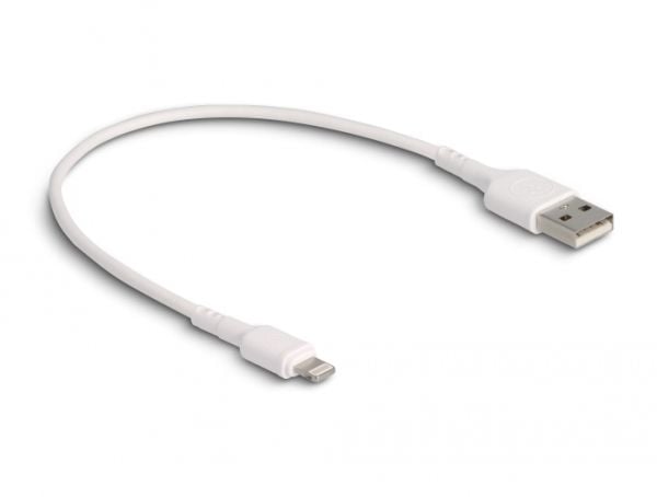 Delock - Lightning-kabel - USB hann til Lightning hann - 30 cm - hvit
