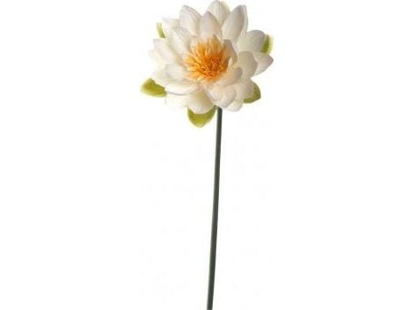 LEONARDO 031696, Innendørs, Artificial flowering plant, Vannliljer, Grønn, Hvit, Gult, 170 mm, 170 mm
