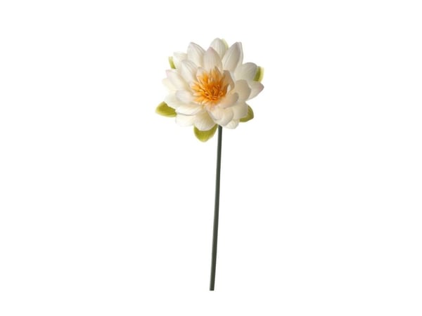 LEONARDO 031696, Innendørs, Artificial flowering plant, Vannliljer, Grønn, Hvit, Gult, 170 mm, 170 mm