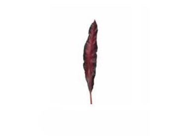 LEONARDO FIORE, Innendørs, Artificial non-flowering plant, Rød, 110 mm, 10 mm, 750 mm LEONARDO FIORE, Innendørs, Artificial non-flowering plant, Rød, 110 mm, 10 mm, 750 mm