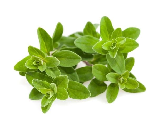 Click & Grow 4742793007571, Syötävä kasvi, Maustemeirami, Aloituspakkaus, 3 kpl, Laatikko