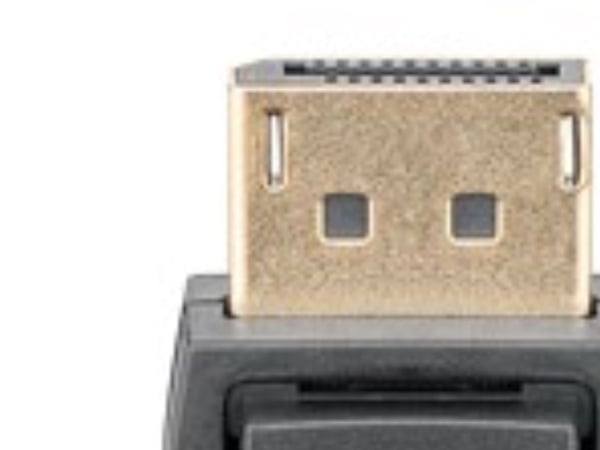 goobay - DisplayPort-kabel - DisplayPort (hann) til DVI-D (hann) - 1 m - tommelskruer