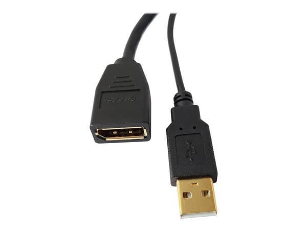 TECHly - Videokabel - HDMI, USB (kun strøm) hann til DisplayPort hunn - svart - 4K-støtte