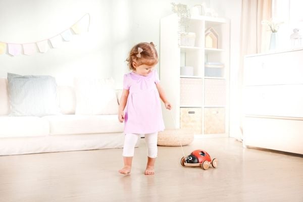 Hape Shape Sorter Ladybug