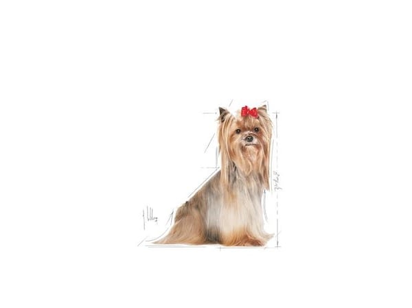 Royal Canin Yorkshire Terrier 8+, Vuxen, Yorkshire Terrier, X-Small (<4kg), Majs, Fisk, Höns, Ris, Grönsaker, 1,5 kg