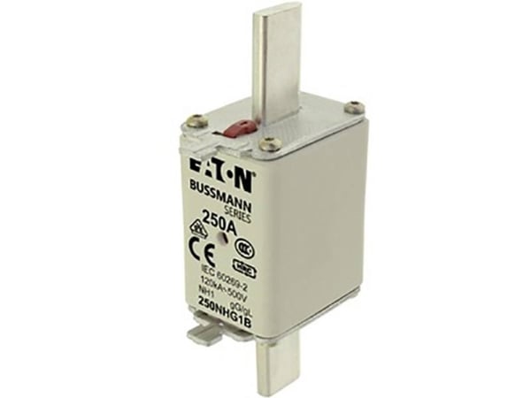 Bussmann 250NHG1B