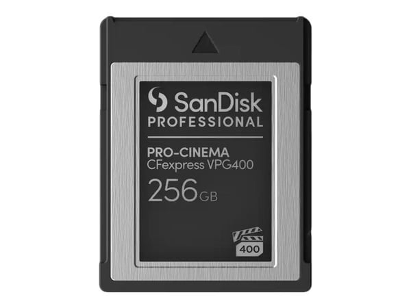 SanDisk Professional - Flash-minneskort - 256 GB - CFexpress, typ B - svart