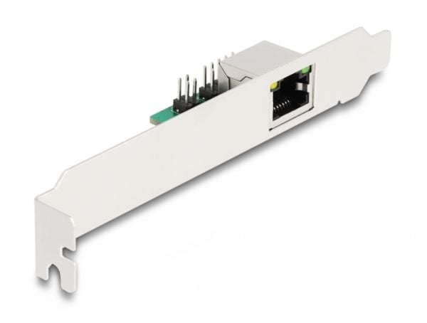 Delock - Nettverksadapter - M.2 2242 lav profil - 10/100/1000/2500Base-T x 1