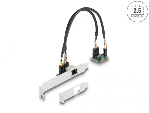 Delock - Nettverksadapter - PCIe Half Mini Card lav profil - 2.5GBase-T x 1