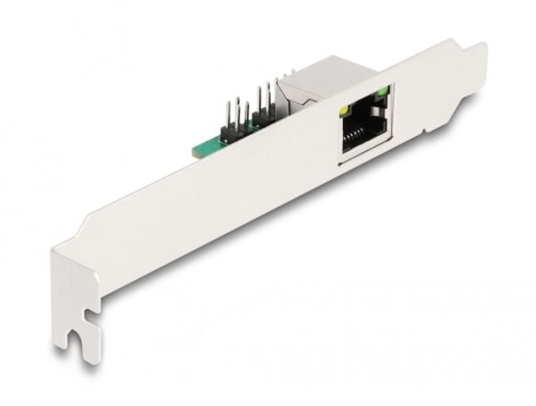 Delock - Nettverksadapter - PCIe Half Mini Card lav profil - 2.5GBase-T x 1