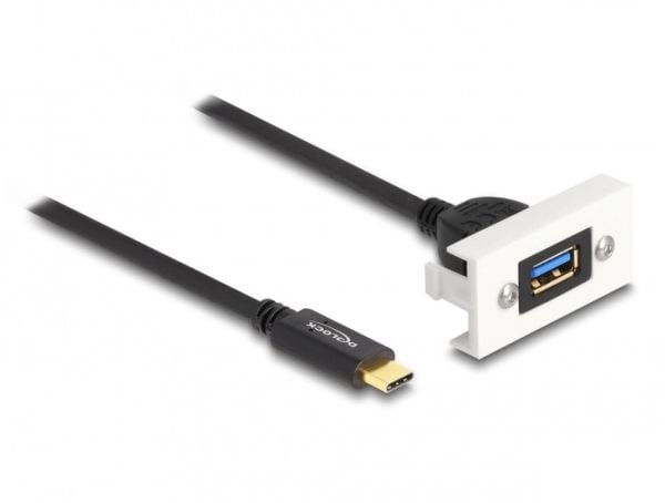 Delock - USB-kabel - USB (hunn) til 24 pin USB-C (hann) - USB 3.2 Gen 2 - 3 A - 1 m - hvit, RAL 9003