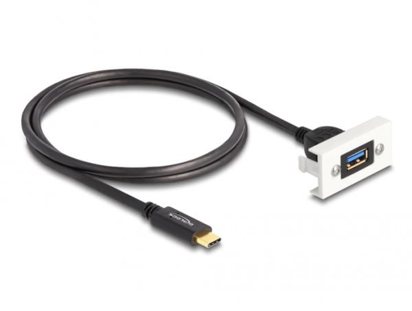 Delock - USB-kabel - USB (hunn) til 24 pin USB-C (hann) - USB 3.2 Gen 2 - 3 A - 1 m - hvit, RAL 9003