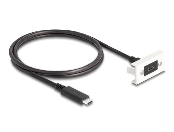 Delock - USB-kabel - 24 pin USB-C (hunn) til 24 pin USB-C (hann) - 1 m - hvit, RAL 9003