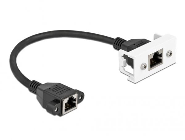 Delock - Nettverkskabel - RJ-45 (hunn) med mutre til RJ-45 (hunn) panelmonterbar - 25 cm - S/FTP - CAT 6a - halogenfri, snap-in - svart/hvit