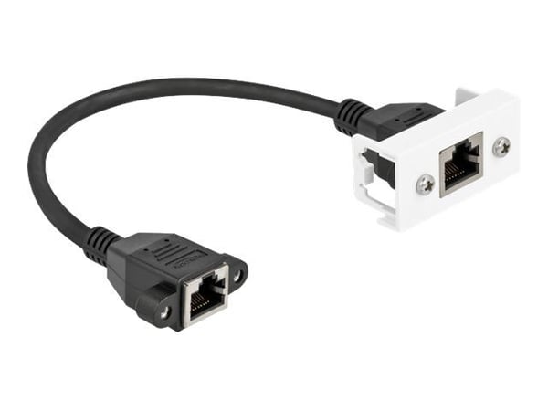 Delock - Nettverkskabel - RJ-45 (hunn) med mutre til RJ-45 (hunn) panelmonterbar - 25 cm - S/FTP - CAT 6a - halogenfri, snap-in - svart/hvit