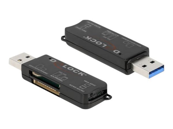 Delock - Kortleser (MS PRO, SD, MS Duo, MS PRO Duo, miniSD, RS-MMC, microSD, SDHC, miniSDHC, MS Micro, microSDHC, MS PRO-HG Duo, SDXC, microSDXC, m...