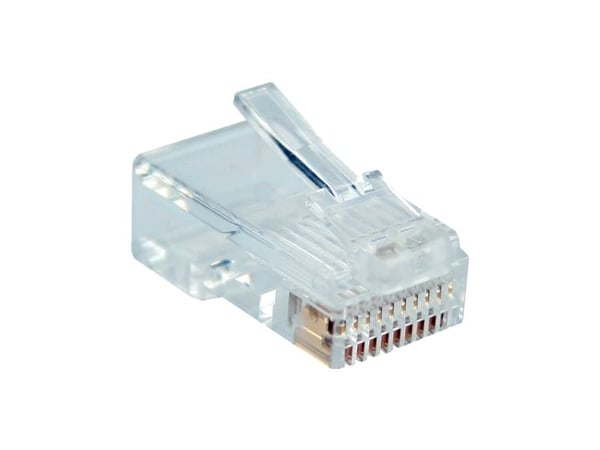 InLine 73011, RJ-45, Gjennomsiktig, Hvit, Plast, 14 g, 1,6 mm, 10 stykker