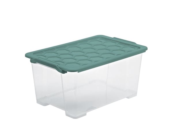 Rotho 1008105092, Förvaringslåda, Grön, Transparent, Rektangulär, Monokromatiskt, inomhus, 44 l