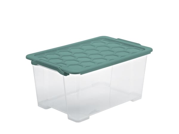 Rotho 1008105092, Förvaringslåda, Grön, Transparent, Rektangulär, Monokromatiskt, inomhus, 44 l