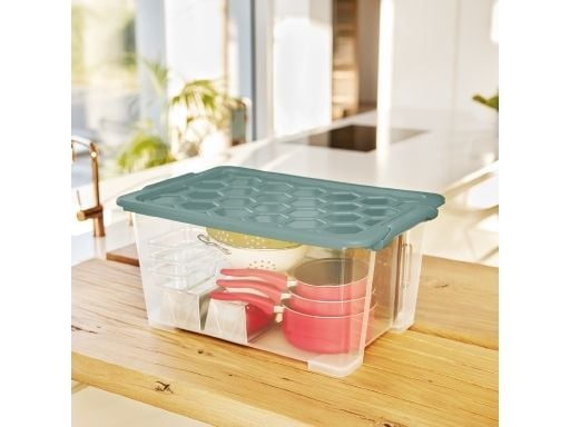 Rotho 1008105092, Förvaringslåda, Grön, Transparent, Rektangulär, Monokromatiskt, inomhus, 44 l