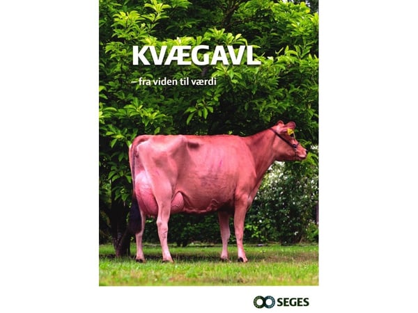 Kvegavl | Jens Christian Holgaard | Språk: Dansk